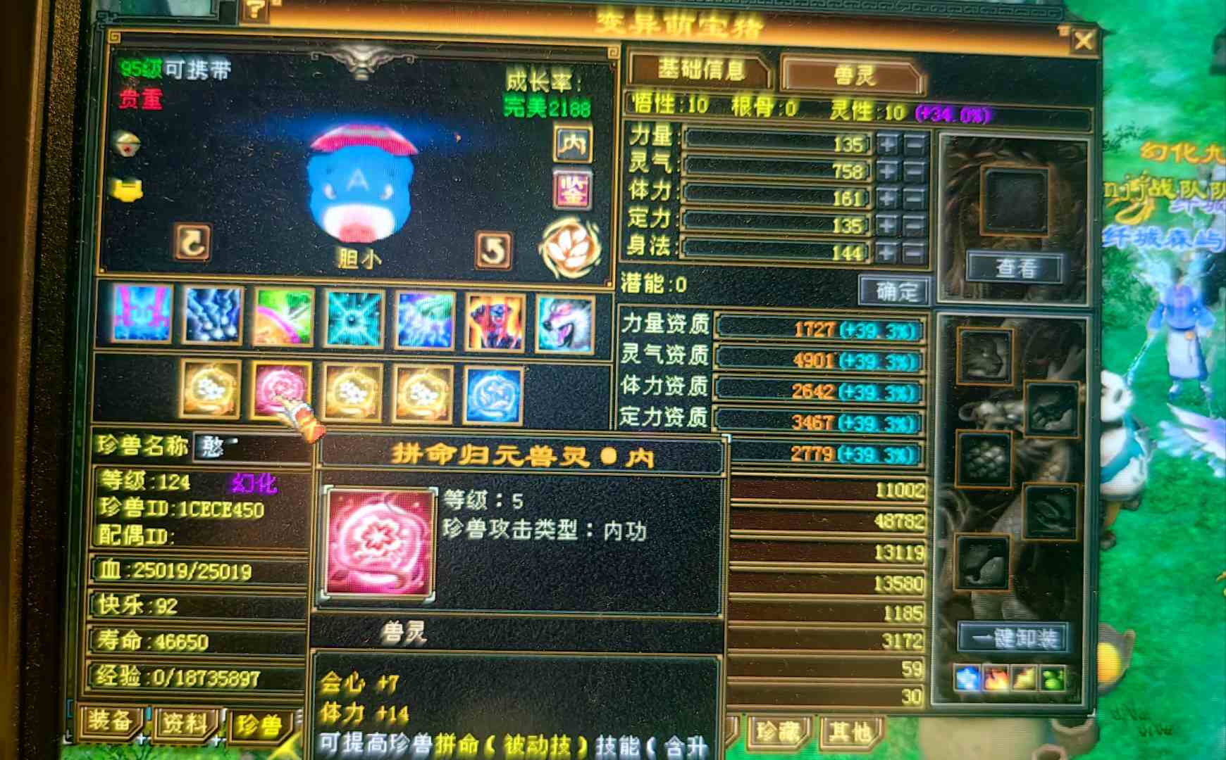 携带等级:95级 | 等级:124 | 悟性10 | 灵性10 | 最高资质:4901 | 【逆光代售宝宝交易全免手续费】商品图片